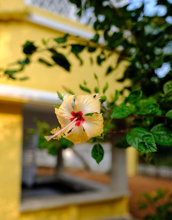 Parul - Elegant Heritage Home At The Heart Of Shantiniketan エクステリア 写真