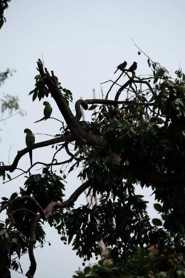 Parul - Elegant Heritage Home At The Heart Of Shantiniketan エクステリア 写真